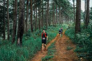 BIB: 
                            <button type="button" onclick="openModal(25659651)" class="btn btn-primary btn-sm float-right btn-popup" data-toggle="modal" data-target=".modal-high-quality">
                        <i class="fas fa-shopping-cart"></i> Add to Cart
                    </button>
                                            <button type="button" onclick="isThisMe(25659651, true)" class="btn btn-success btn-sm float-right btn-popup btn-isme hidden" data-toggle="tooltip" data-placement="bottom" title="นี่คือรูปของคุณใช่ไหม คลิกที่นี่เพื่อเอาเข้าอัลบั้ม">
                        <i class="fas fa-plus"></i> Add to album
                    </button>
                    <button type="button" onclick="isThisMe(25659651, false)" class="btn btn-warning btn-sm float-right btn-popup btn-isnotme hidden">
                        <i class="fas fa-ban"></i> Remove from album
                    </button>